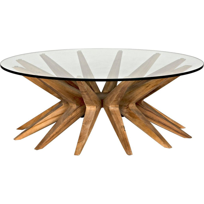 Noir Waldo Coffee Table - Teak & Glass, 40"