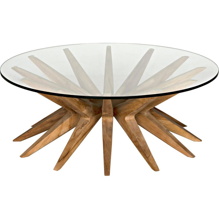 Noir Waldo Coffee Table - Teak & Glass, 40"