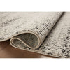 Loloi Darby (DAR-02) Transitional Area Rug