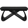 Noir Infinity Coffee Table - Sungkai/Mindi, 23"