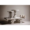 Noir Suzu Coffee Table, White Wash - Mahogany & Veneer, 38"
