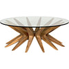 Noir Waldo Coffee Table - Teak & Glass, 40"