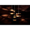 Noir Arion Pendant, Steel w/ Brass Finish