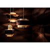 Noir Arion Pendant, Steel w/ Brass Finish