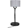 Noir Arizona Lamp w/ Shade, 12"