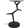 Noir Arizona Lamp w/ Shade, 12"