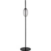 Noir Swan Floor Lamp, Black Steel