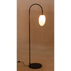 Noir Swan Floor Lamp, Black Steel