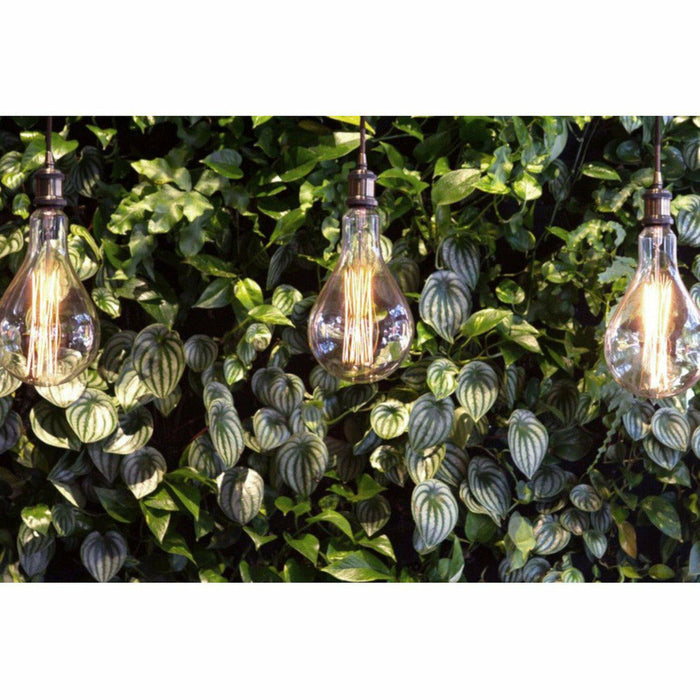 Carroll by Design Large/Black Chord Pendant-annieandel