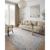 Primary vendor image of Loloi II Elysium (ELY-01) Traditional Area Rug