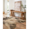 Loloi II Grand Canyon (GC-13) Transitional Area Rug