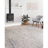 Primary vendor image of Loloi II Lucia (LUC-01) Transitional Area Rug