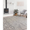 Primary vendor image of Loloi II Lucia (LUC-04) Transitional Area Rug