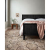 Primary vendor image of Loloi Prescott (PRE-02) Contemporary Area Rug